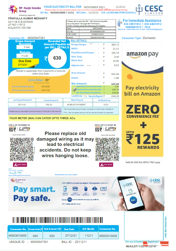 INDIA CESC LIMITED utility bill Word and PDF template, version 2